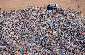 Unique ecosystem destroyed: Atacama Desert becomes the world's garbage dump