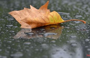 North Rhine-Westphalia: Mix of rain and clouds expected in NRW
