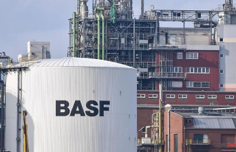 29 percent protection: BASF with an 18 percent chance