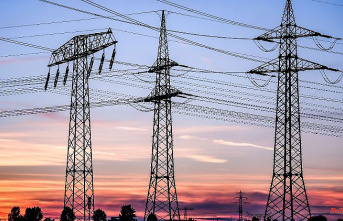 Industry brakes relief zeal: Electricity price brake in January "completely unrealistic"