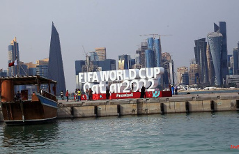 World Cup hosts continue to hand out: Qatar: criticism of Qatar "arrogant and racist"