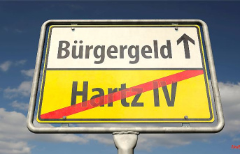 The differences: citizen income or Hartz IV?