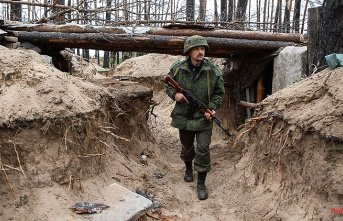 Fortifications in Cherson: Experts see weak points in Moscow's network of positions