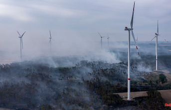 Karlsruhe overturns ban: Thuringia must allow wind turbines in the forest