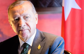 "Insult to President": Turkey orders Swedish ambassador