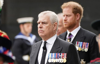 Legislative change proposed: King Charles replaces Andrew and Harry as representatives