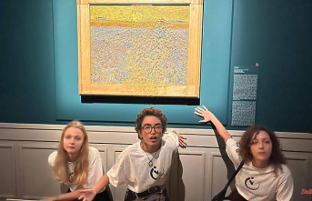 Minister announces harsh punishment: activists attack another Van Gogh painting