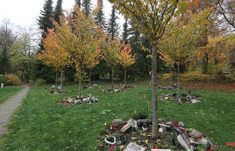 Thuringia: Trend towards tree graves in cemeteries: Sunday of the Dead