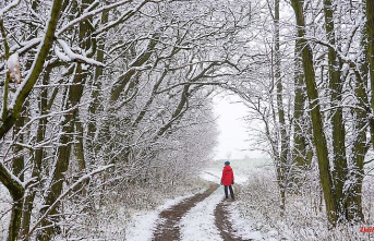 Saxony: snowfall down to the lowlands: winter interlude in Saxony