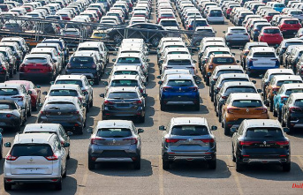 Too many burners planned: Greenpeace warns auto industry against overproduction