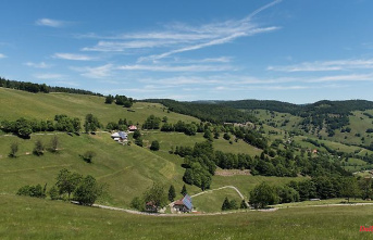Baden-Württemberg: Mountain pastures have a future in the Black Forest biosphere reserve