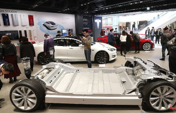 "Advantages" for Tesla and Co: South Korea ensnares Elon Musk