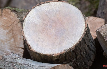 Baden-Württemberg: Wood increasingly popular stolen goods in the energy crisis