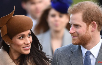 “Was fed to the wolves”: Harry and Meghan drastically follow suit