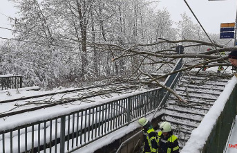 Bavaria: Injured by fallen tree and electric shock