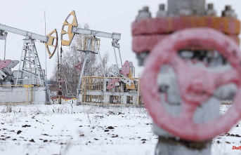 Consequences for the energy market: will the price cap for Russian oil have no effect?