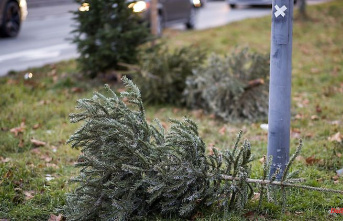Thuringia: Do not dispose of used Christmas trees in the forest