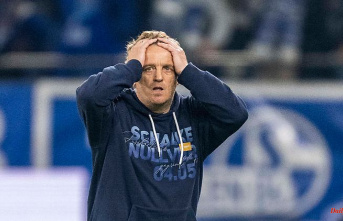 Büskens no longer on the bench: Coach Reis sorts out Schalke promotion heroes