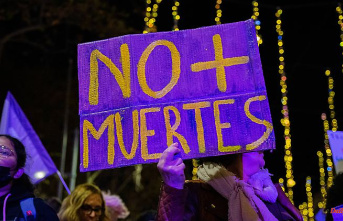 Violence shakes Spain: "Macho terrorism" kills four women in 24 hours
