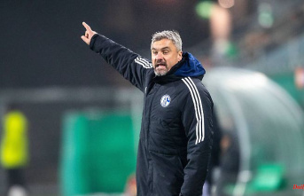 "Pushed in the pillory": Schalke coach Reis settles accounts with ex-club
