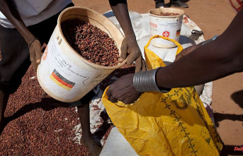 1.7 billion for UN program: Germany assumes leading role in fight against hunger