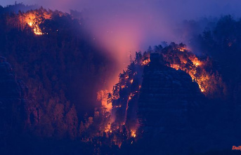 With mortgage into the new year: German forest fire situation is "very worrying"
