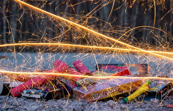 Fireworks sale starts today: pyrotechnicians expect bang sales