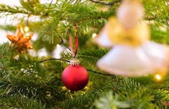 Mecklenburg-West Pomerania: Start of the Christmas holidays in Mecklenburg-West Pomerania