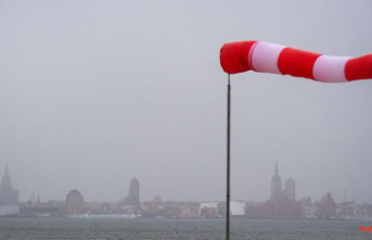 North Rhine-Westphalia: Stormy end of the year in NRW: Up to 17 degrees on New Year's Eve