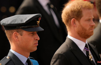 Expert sees no return: Harry's future in the royal family "increasingly unlikely"