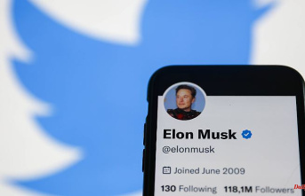 Poll expired: Twitter users vote to leave Elon Musk