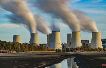 "Risk for power supply": Network operators warn of coal shortages