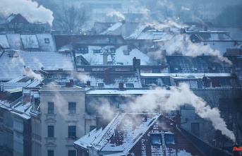 Savings of 20 percent necessary: ​​Gas storage tanks are still 88 percent full despite the cold snap