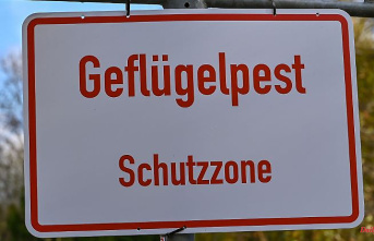Thuringia: Avian influenza detected in the district of Gotha