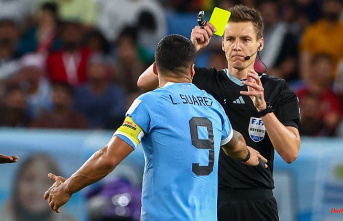 Siebert out after Uruguay scandal: German referees are also eliminated from the World Cup