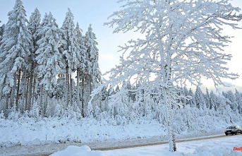 Thuringia: Snow-covered Thuringian Forest gives hope to holiday providers