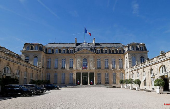 Wanted to speak to Macron: job seeker invades Élyséepalast