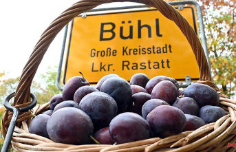 Baden-Württemberg: Bühl is now officially the "plum town"