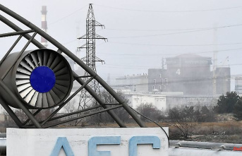 Russia: Agreement with IAEA: Safety zone around Zaporizhia nuclear plant is getting closer
