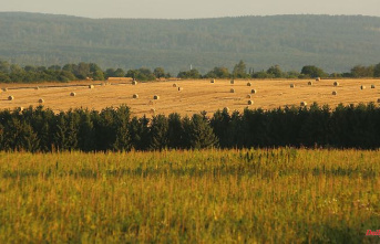 Thuringia: Around 214 million euros for farmers