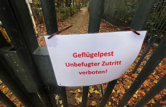 Saxony-Anhalt: Cases of avian influenza discovered again in Saxony-Anhalt