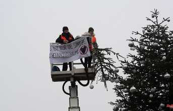 "That's just the tip": "Last generation" cuts Christmas tree in Berlin
