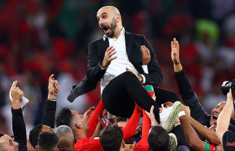 "We are Rocky Balboa": With Morocco's lions, a whole continent weeps with joy