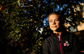 Because of the "small-dick-energy" tweet: millions of Twitter users are celebrating Greta Thunberg