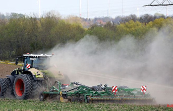 Mecklenburg-Western Pomerania: BUND: Industrial agriculture damages arable land