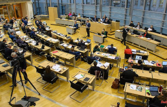 Saxony-Anhalt: AfD remains in parliament without a vice president post