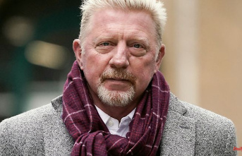 Flight home with a private jet ?: Boris Becker faces no punishment after deportation