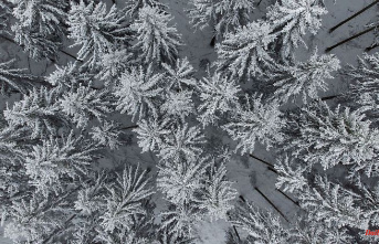 Hesse: Meteorologists warn of severe frost in Hesse