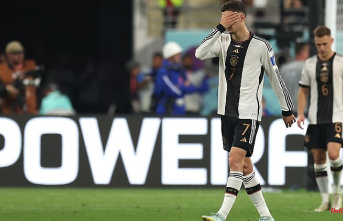 Professionals talk after the shame: violent World Cup hangover stretches DFB stars down