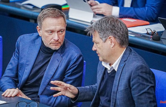 "It rumbles occasionally": Lindner draws a positive interim conclusion of the traffic light